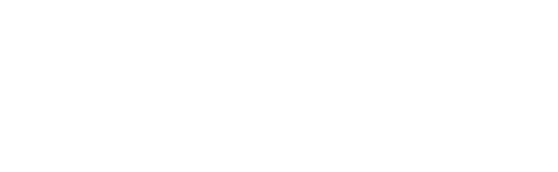 DOLA Insoles