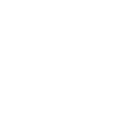 Ankle