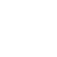 Foot