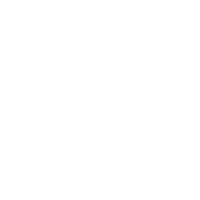Knee